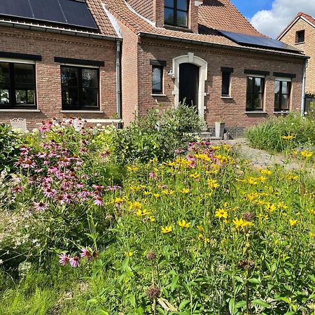 B&B Den Biesthoek Grimbergen Eksteriør bilde
