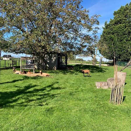 B&B Den Biesthoek Grimbergen Eksteriør bilde