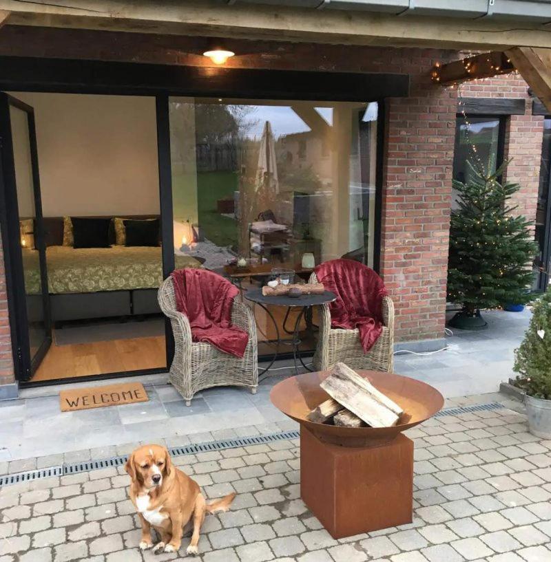 B&B Den Biesthoek Grimbergen Eksteriør bilde