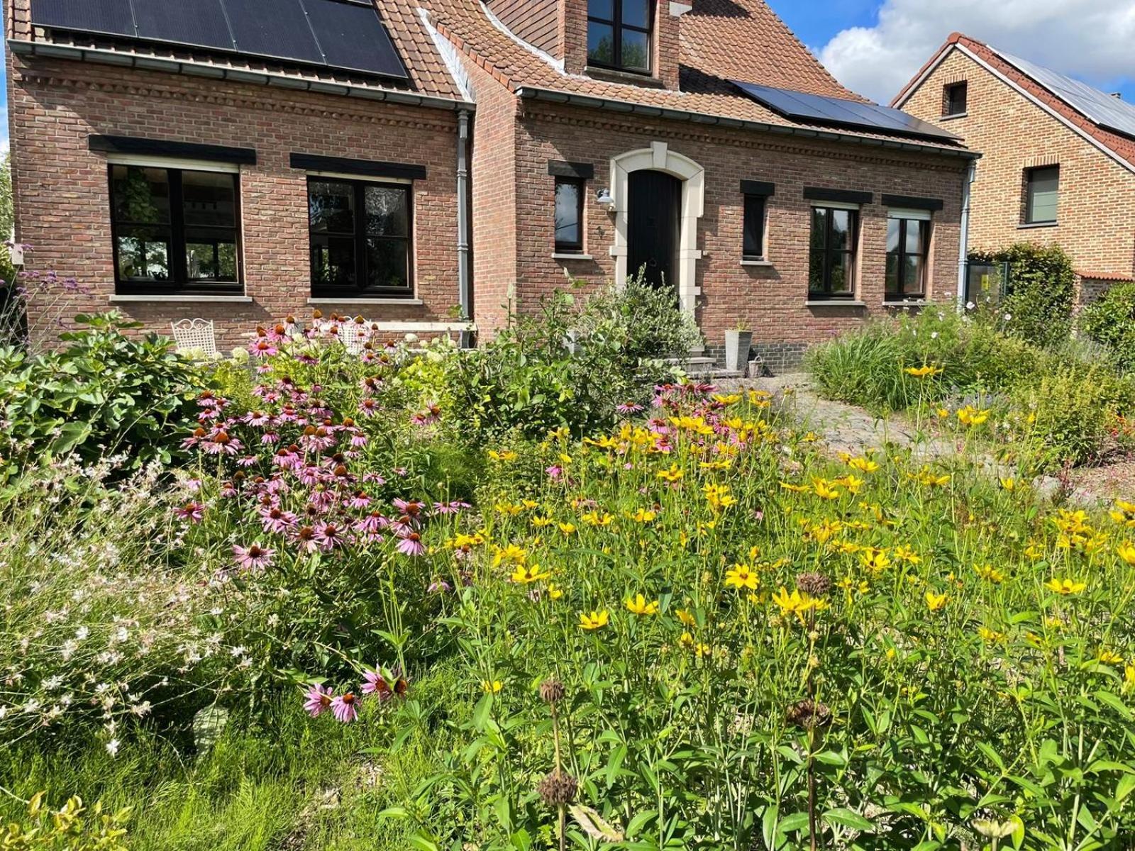 B&B Den Biesthoek Grimbergen Eksteriør bilde